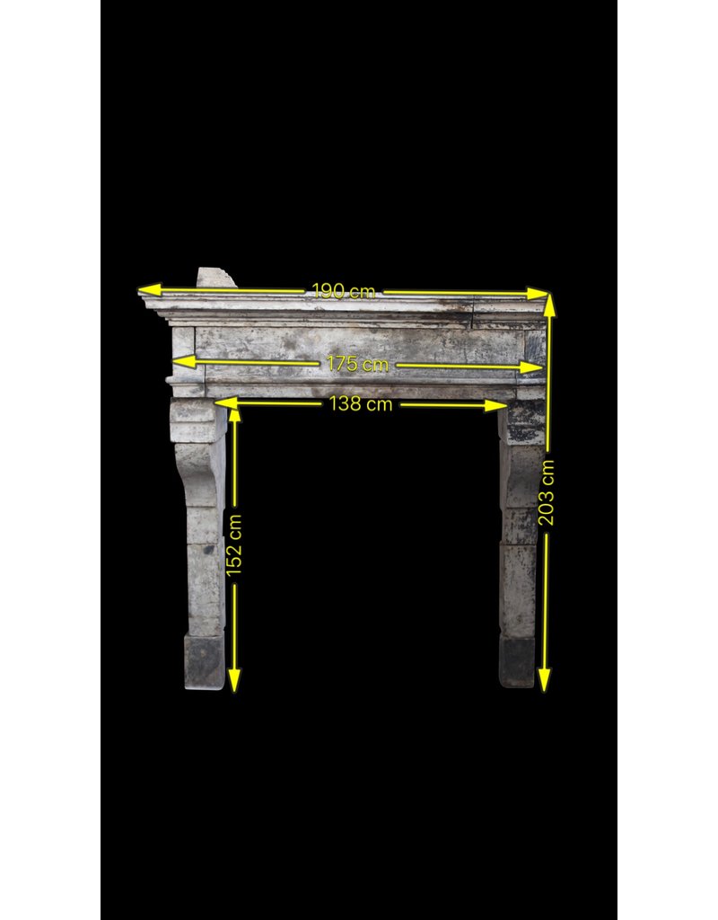 Francés Louis Xiii Período Rústica De Piedra Caliza Chimenea Surround