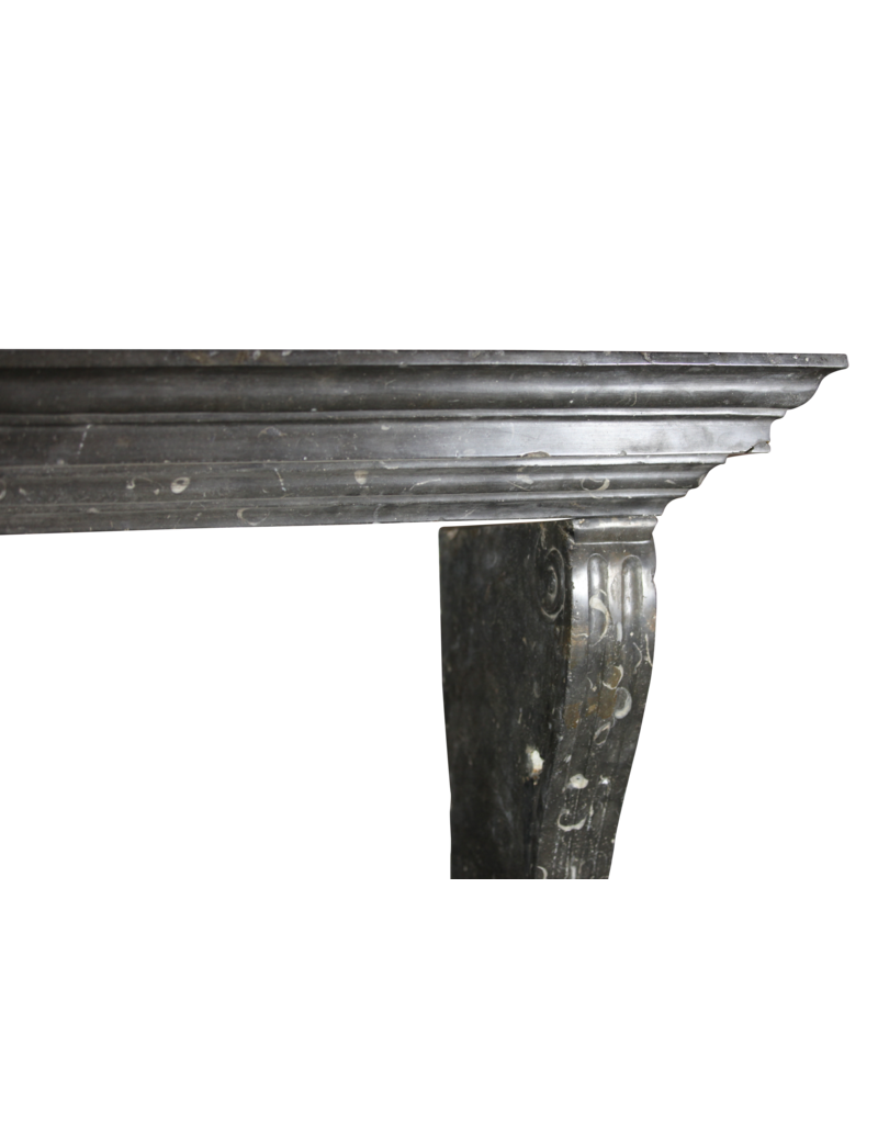 Maison Leon Van den Bogaert Fine atemporal Fósil chimenea de piedra surround