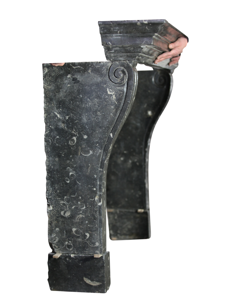 Maison Leon Van den Bogaert Fine atemporal Fósil chimenea de piedra surround