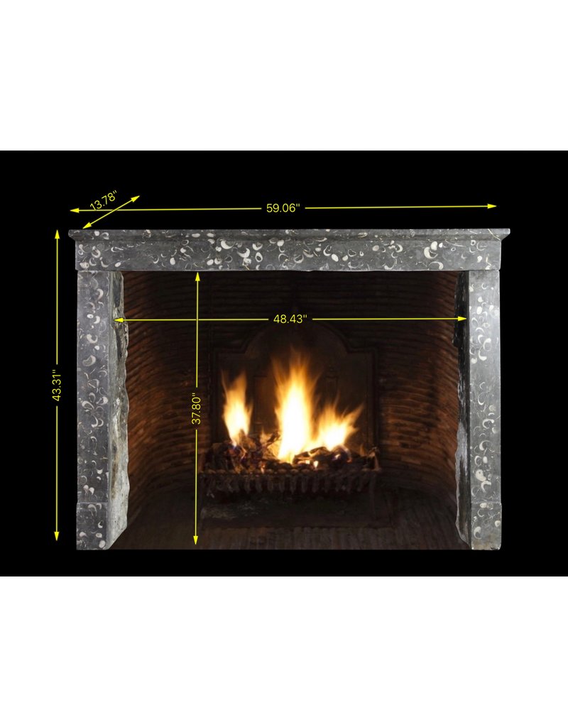 Timeless Fossil Stone Fireplace Surround