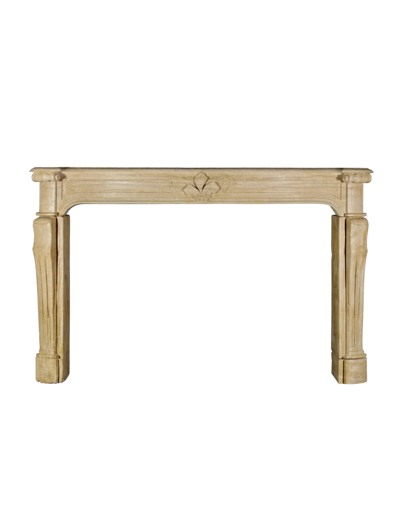 Maison Leon Van den Bogaert Große französische Vintage-Kaminumrandung aus Kalkstein im Landhausstil