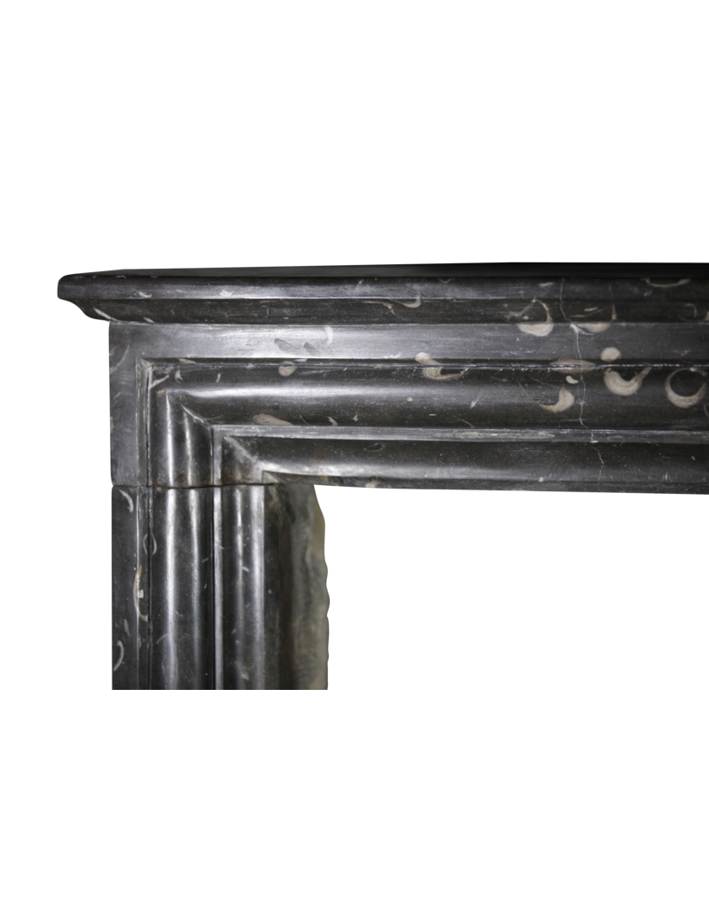 Maison Leon Van den Bogaert Fine atemporal Fósil chimenea de piedra surround