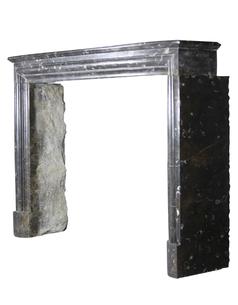 Maison Leon Van den Bogaert Fine atemporal Fósil chimenea de piedra surround