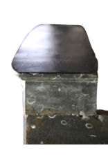Maison Leon Van den Bogaert Fine atemporal Fósil chimenea de piedra surround