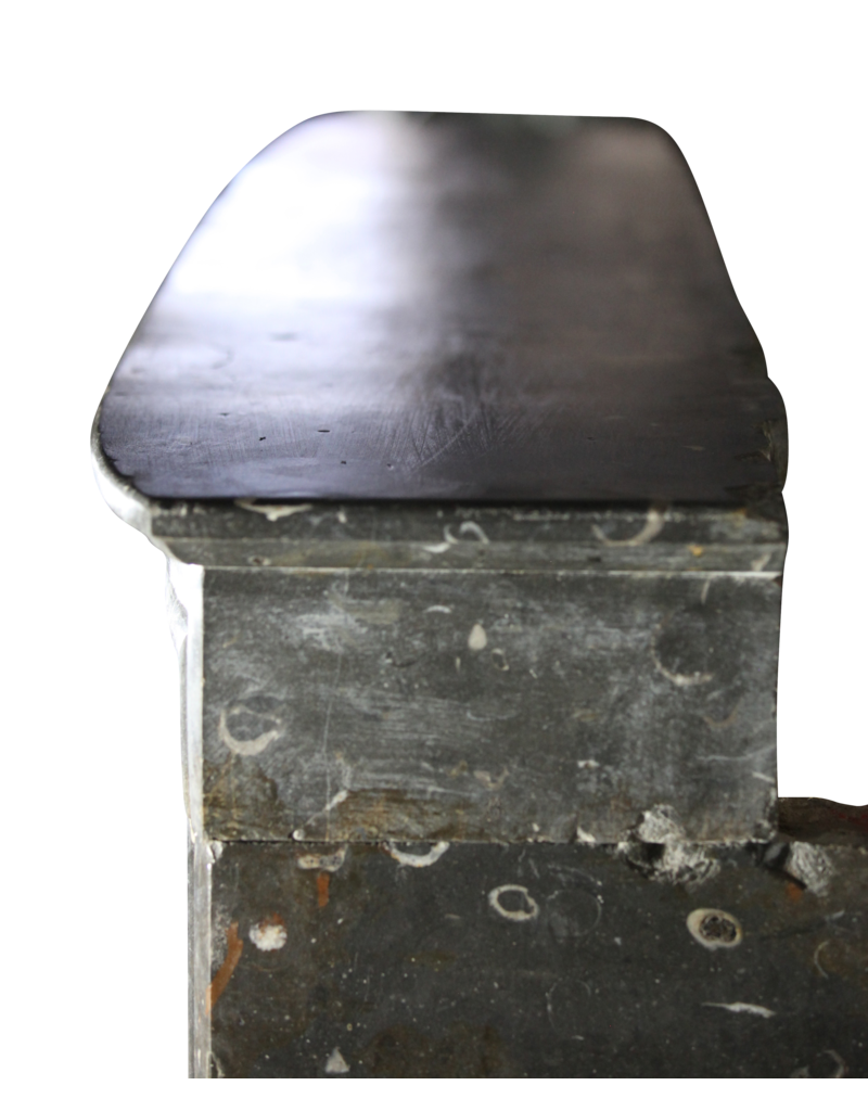 Maison Leon Van den Bogaert Fine atemporal Fósil chimenea de piedra surround