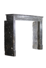 Maison Leon Van den Bogaert Fine atemporal Fósil chimenea de piedra surround