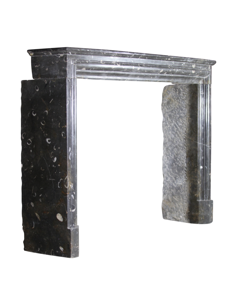 Maison Leon Van den Bogaert Fine atemporal Fósil chimenea de piedra surround