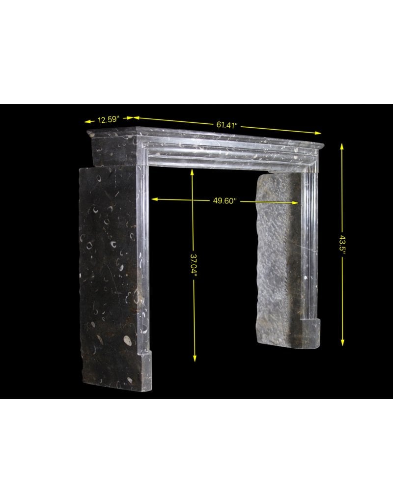 Maison Leon Van den Bogaert Fine atemporal Fósil chimenea de piedra surround