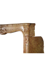 Classic French Marble Stone Fireplace Surround