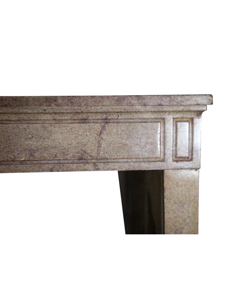 Classic French Louis XVI Period Stone Fireplace Surround