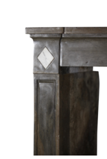 Classic French Bicolor Hard Stone Fireplace Surround