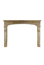 Grand French Vintage Fireplace Surround