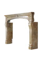 Grand French Vintage Fireplace Surround