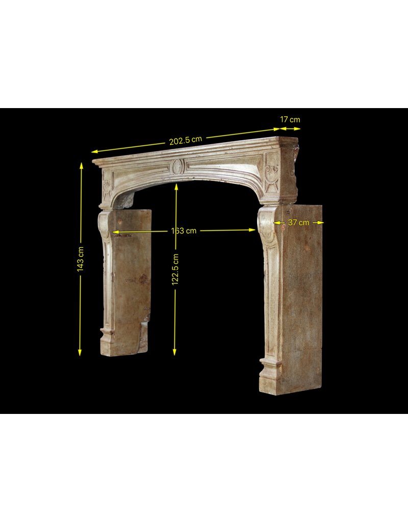 Grand French Vintage Fireplace Surround