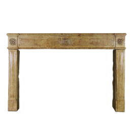 Chique French Antique Fireplace Surround