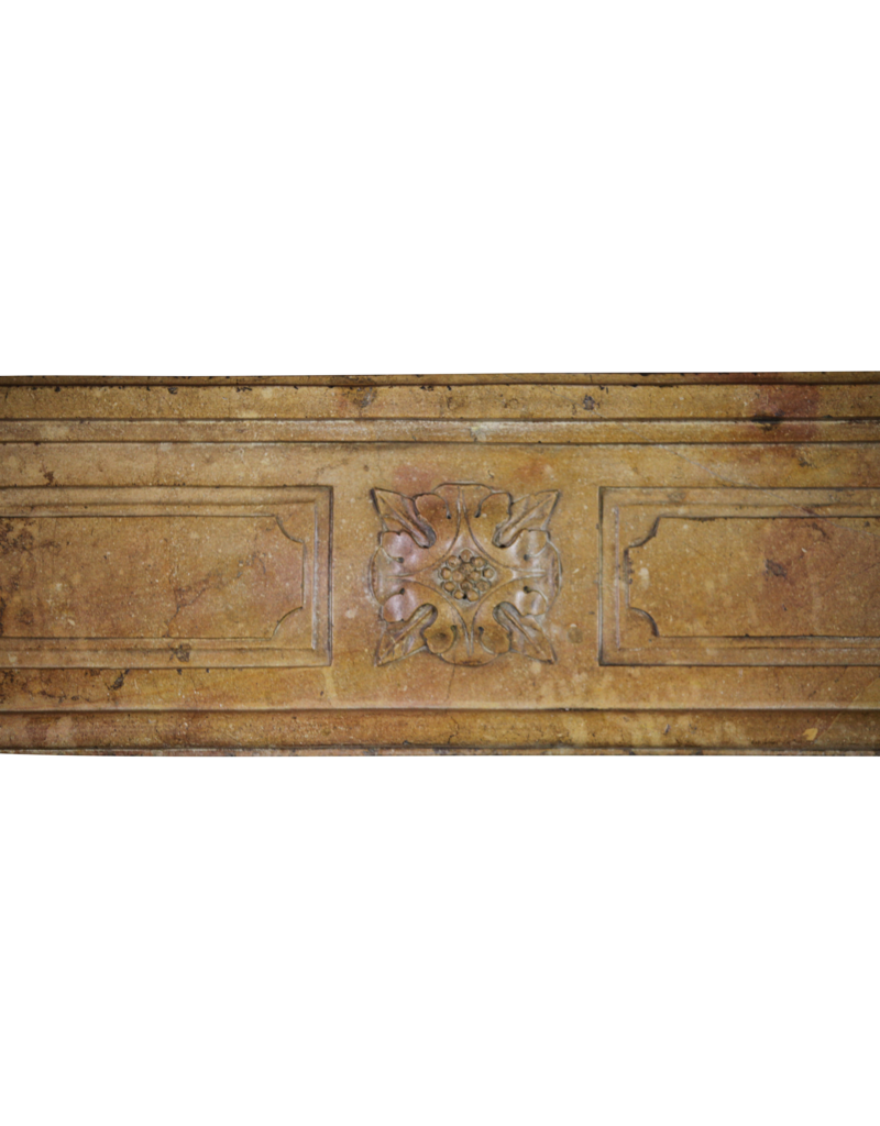 Maison Leon Van den Bogaert Chic French Antique Fireplace Surround