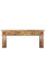 Rich French LXVI Style Fireplace Surround