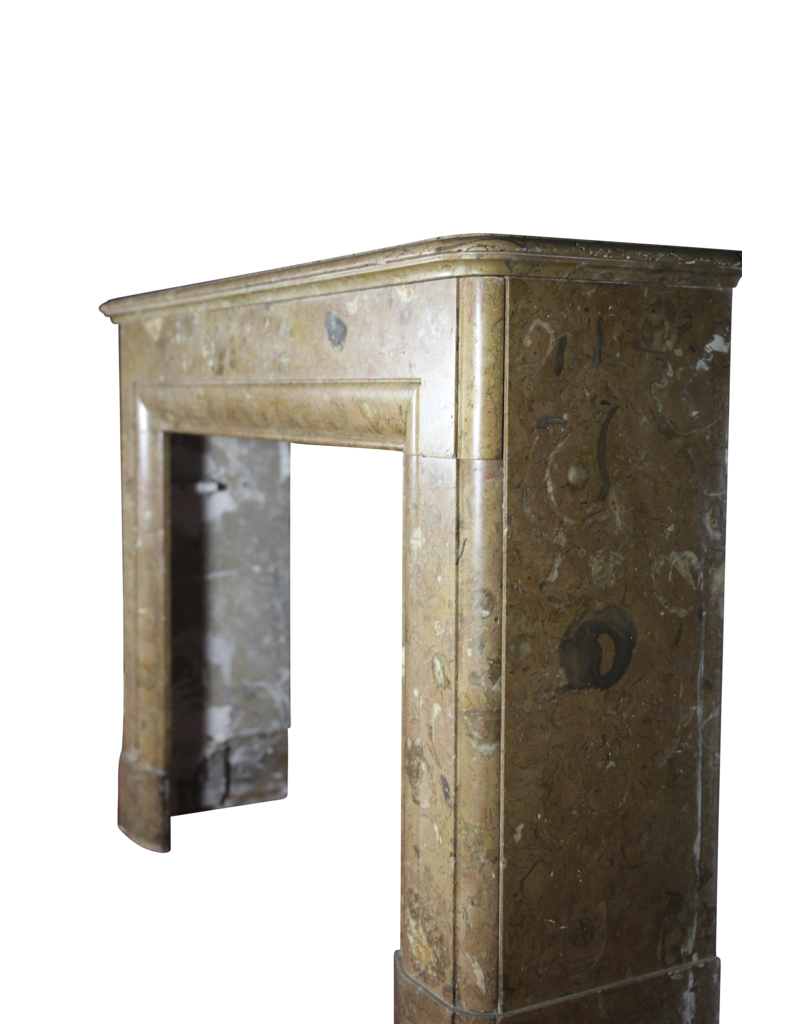 Maison Leon Van den Bogaert Classic Vintage Belgian Marble Fireplace Surround