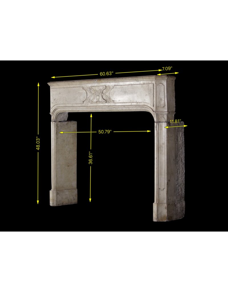 Mármol Fino Francés Antiguo Chimenea De Piedra Surround