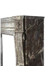 Belgian 19Th Century Fireplace Surround