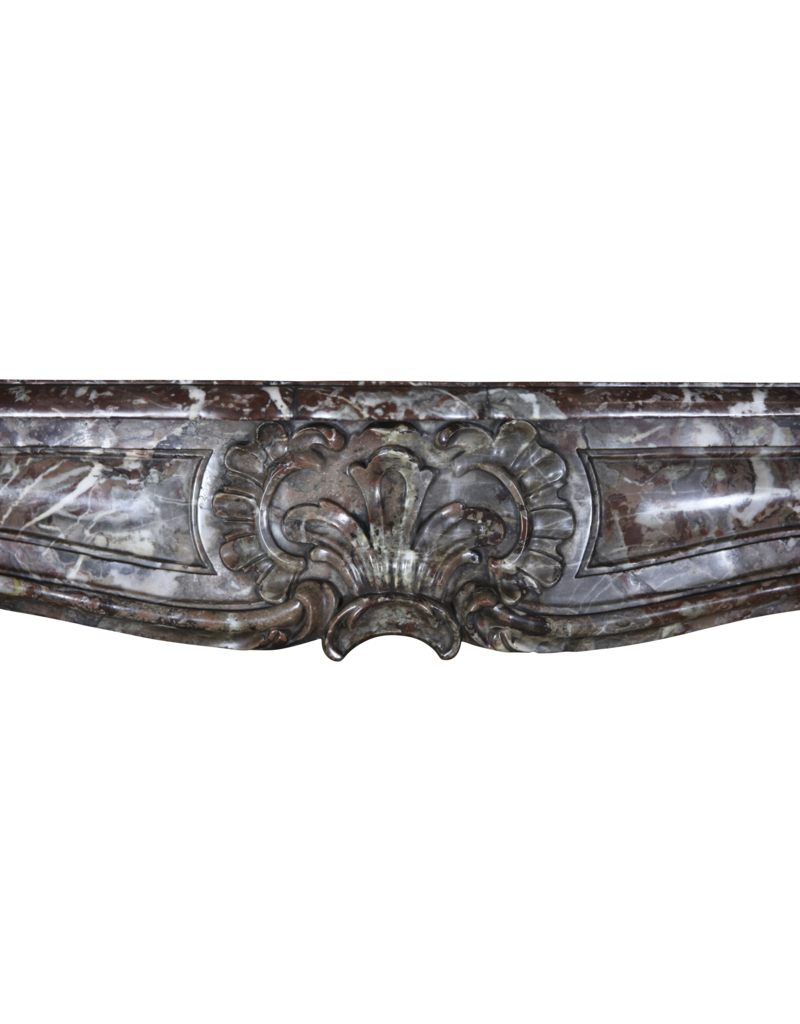 Maison Leon Van den Bogaert Fine Belgian Antique Fireplace Surround