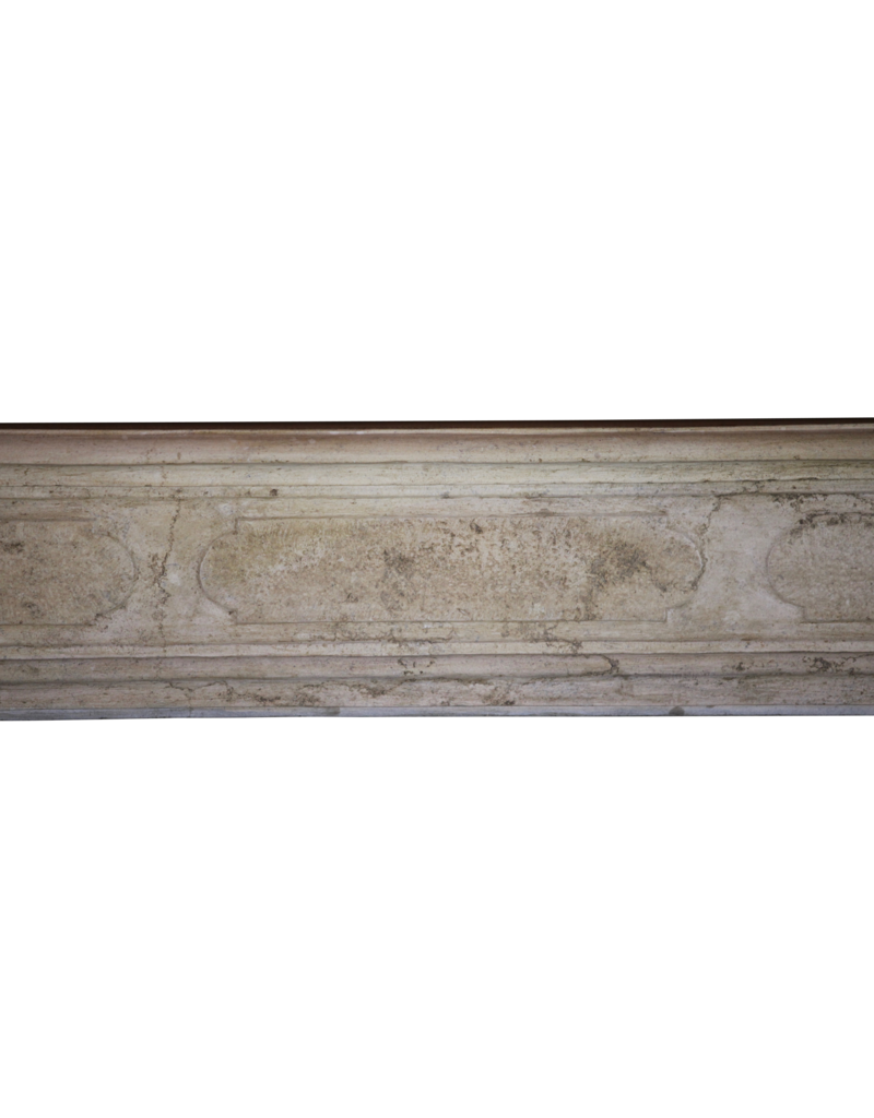 Maison Leon Van den Bogaert Cheminée LXIV En Pierre de Bourgogne Bicolor