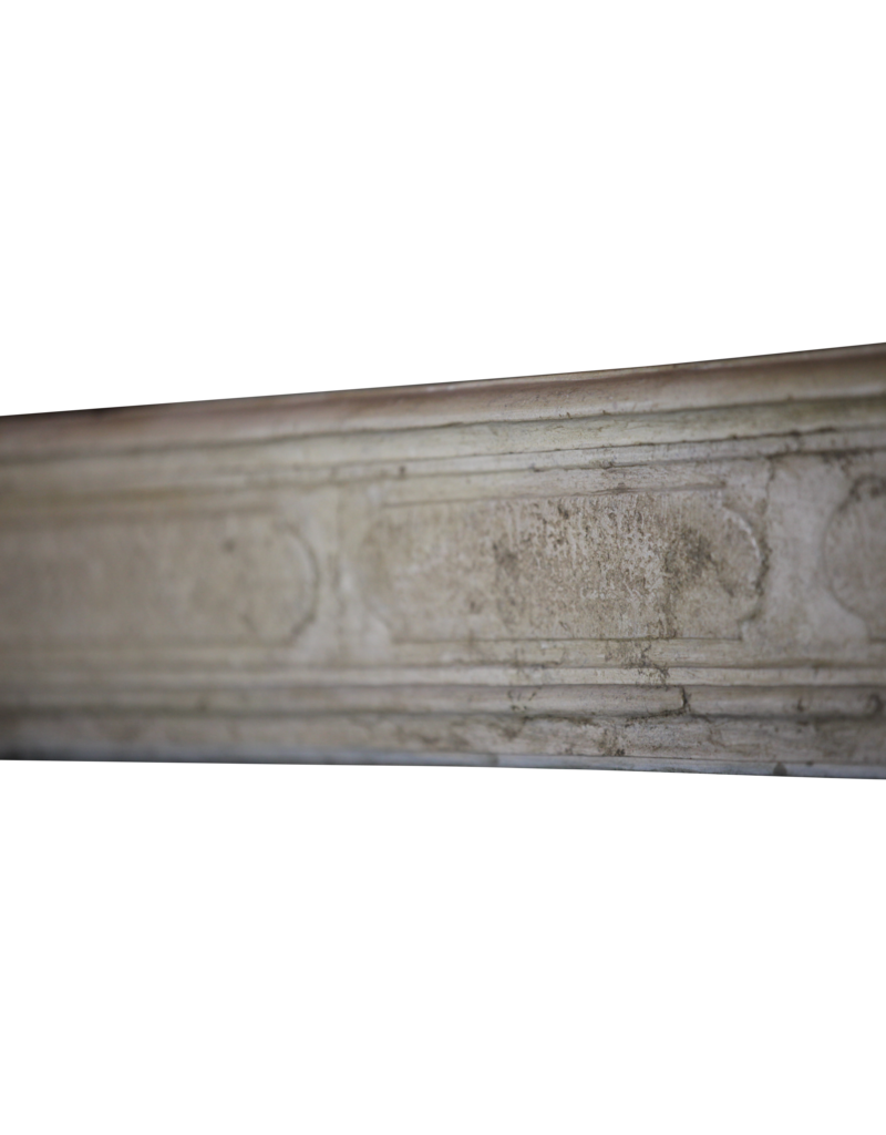 Maison Leon Van den Bogaert Cheminée LXIV En Pierre de Bourgogne Bicolor