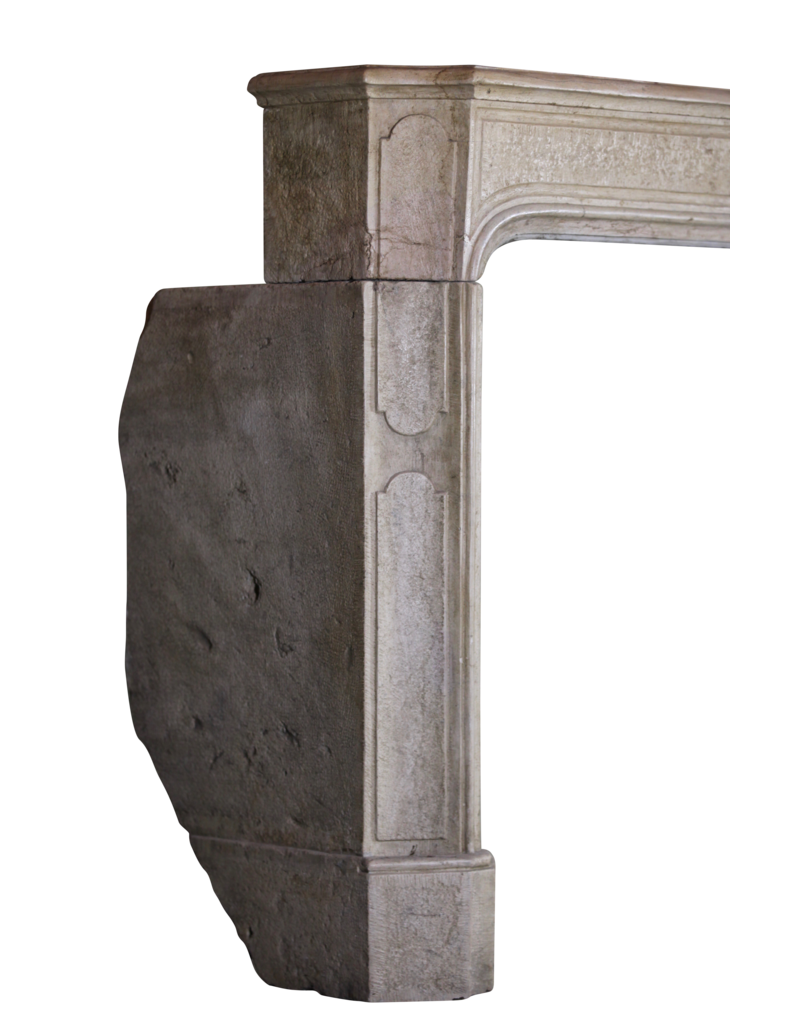 Bicolor LXIV French Antique Hard Stone Surround