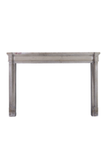 French 19Th Century Bicolor Fireplace Surround