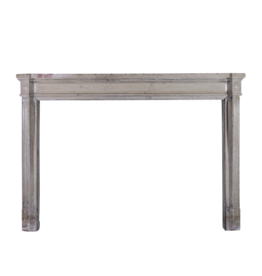 French 19Th Century Bicolor Fireplace Surround