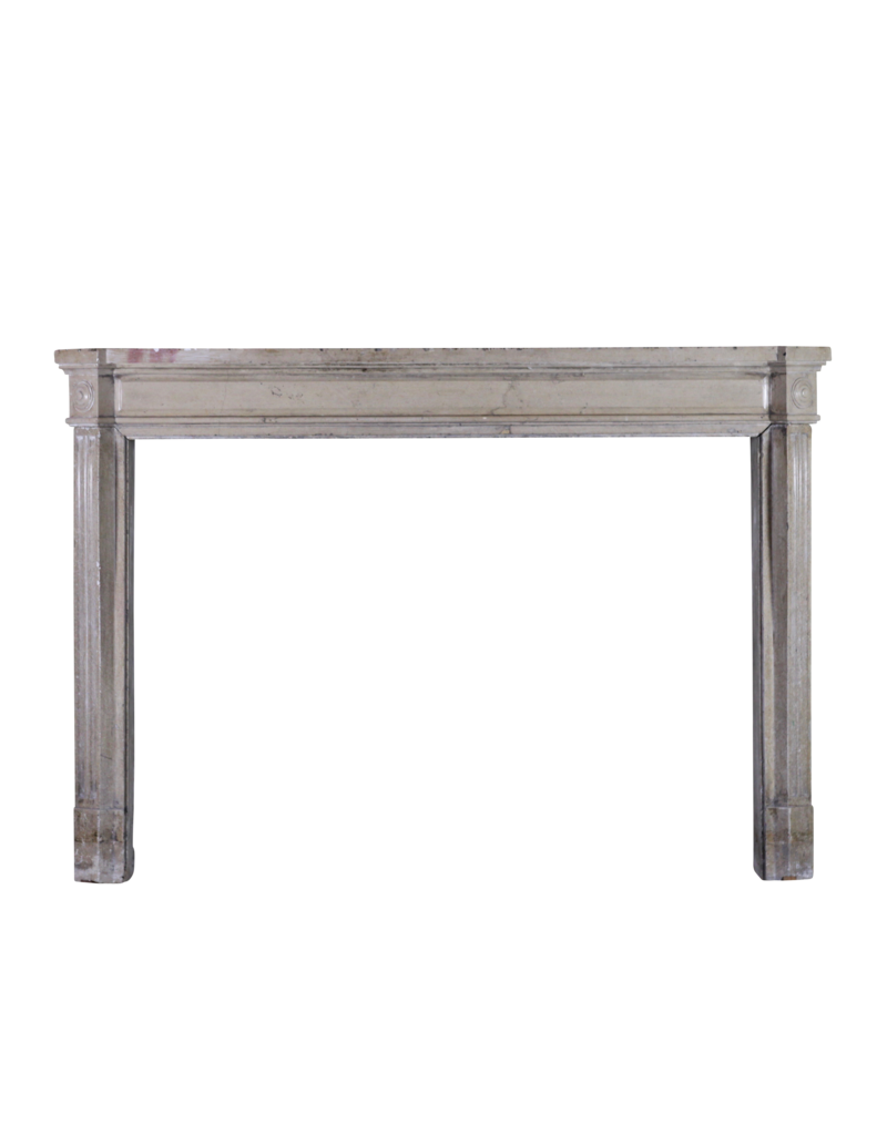 French 19Th Century Bicolor Fireplace Surround