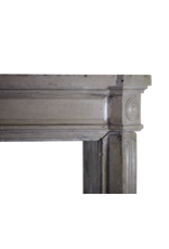 French 19Th Century Bicolor Fireplace Surround