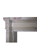 French 19Th Century Bicolor Fireplace Surround