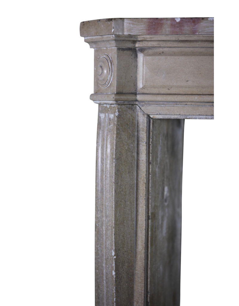 French 19Th Century Bicolor Fireplace Surround