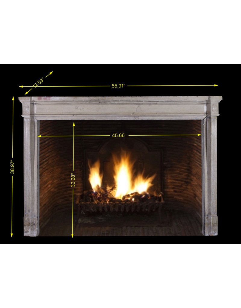 French 19Th Century Bicolor Fireplace Surround