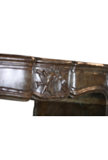 Maison Leon Van den Bogaert Kaminumrandung aus der Directoire-Zeit des 18. Jahrhunderts