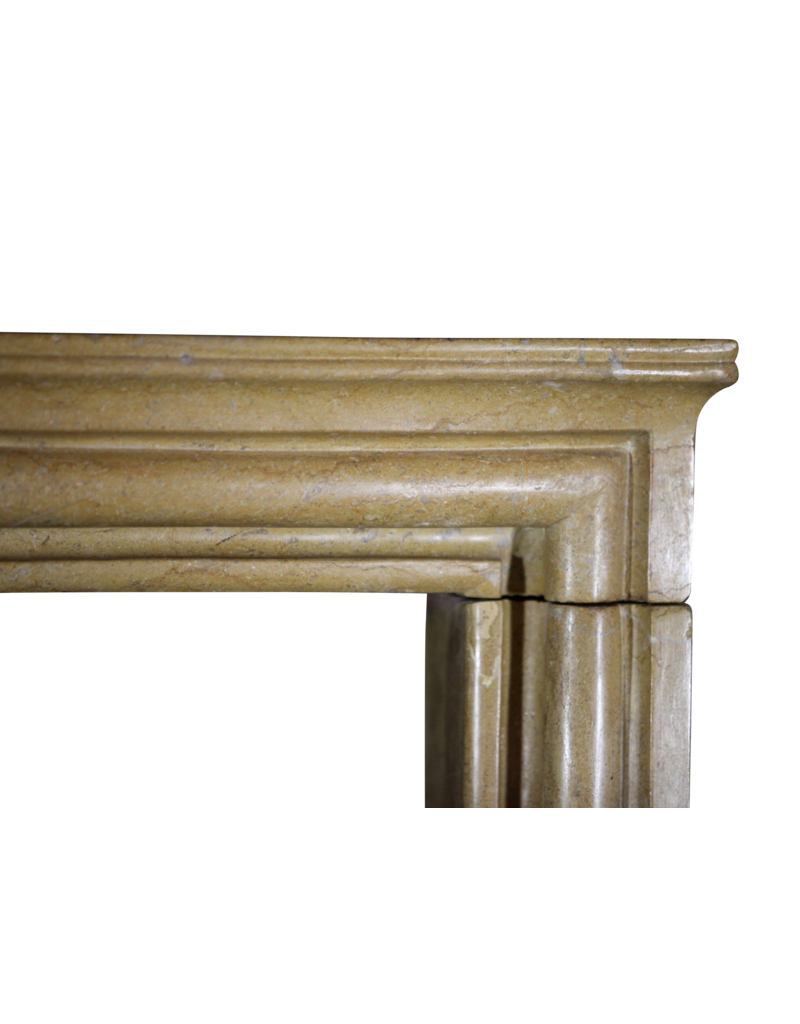 Maison Leon Van den Bogaert Francés Antiguo Elegante Chimenea