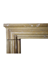 Elegant French Antique Fireplace Mantle