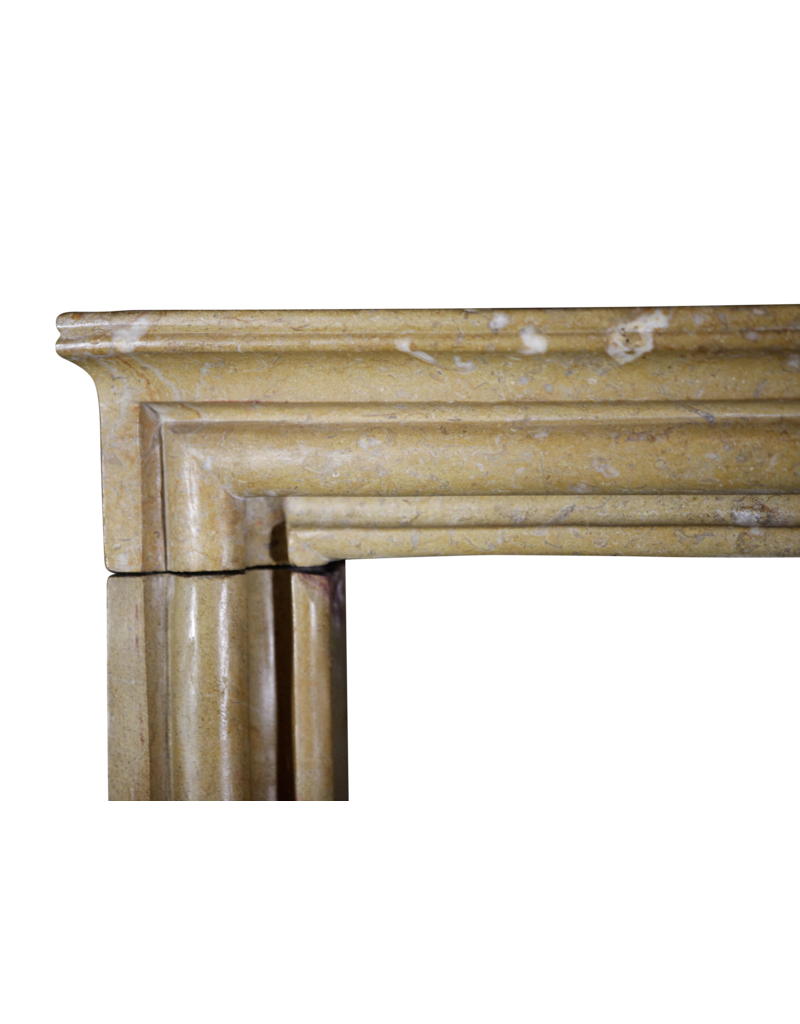 Elegant French Antique Fireplace Mantle