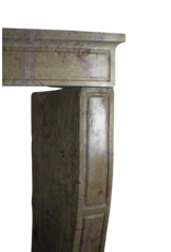 Maison Leon Van den Bogaert Kaminverkleidung mit von der Natur geschaffenen Farbnuancen