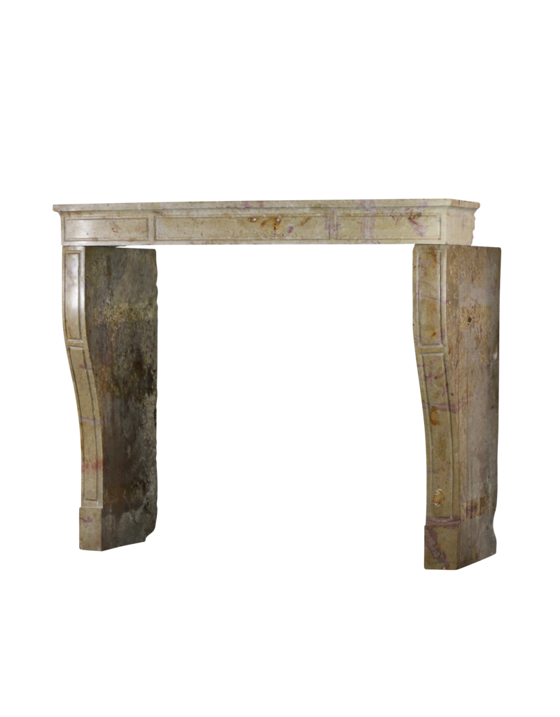 Bicolor Created By Nature French Fireplace Surround