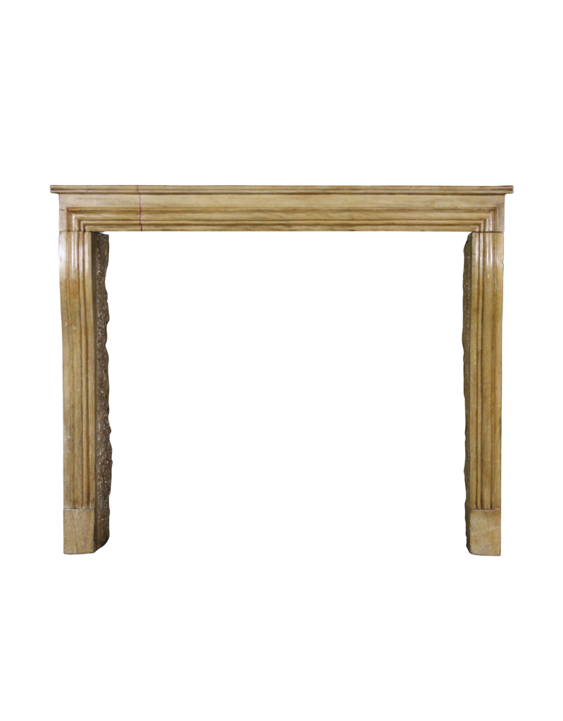 Maison Leon Van den Bogaert Elegante zweifarbige antike Kaminverkleidung