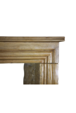 Maison Leon Van den Bogaert Elegante zweifarbige antike Kaminverkleidung