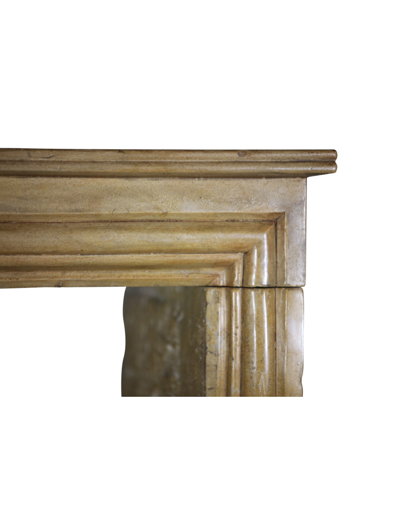 Elegant Vintage Bicolor French Fireplace Surround