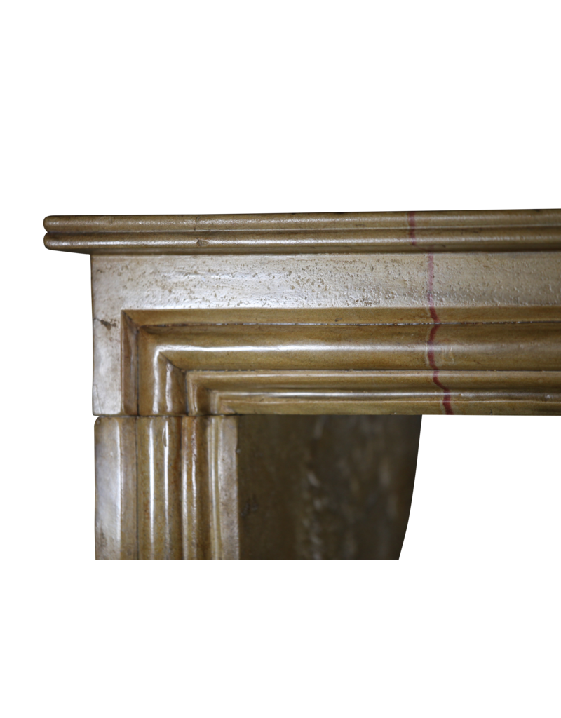 Maison Leon Van den Bogaert Elegante zweifarbige antike Kaminverkleidung