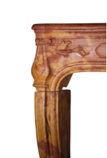 Maison Leon Van den Bogaert Klassische zweifarbige französische Vintage-Kaminumrandung aus dem 18. Jahrhundert