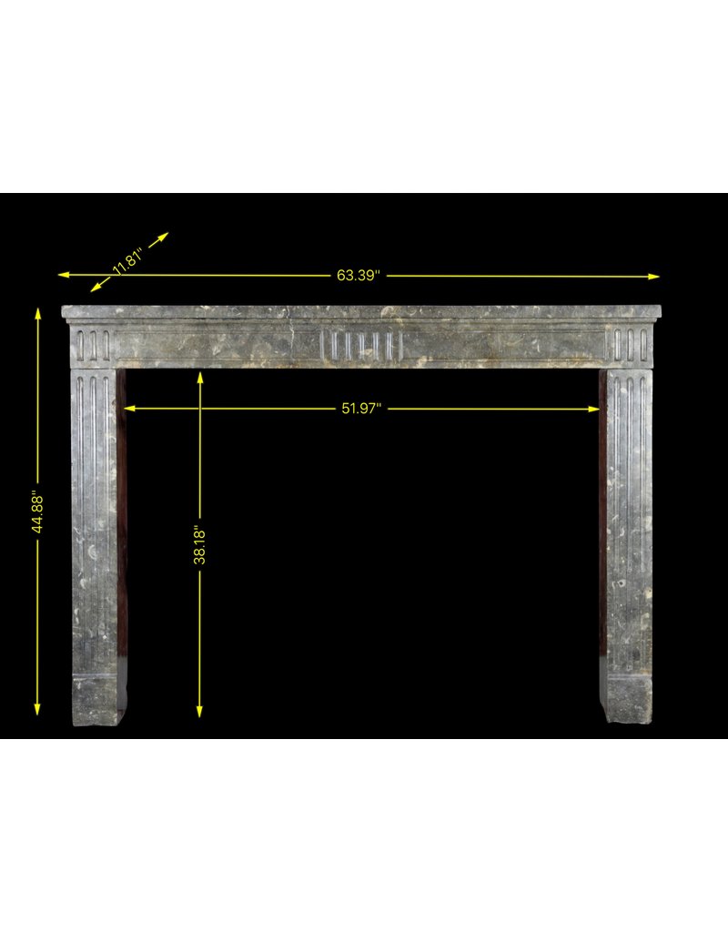 Fossil Atemporal Chique Francesa Chimenea De Piedra Surround