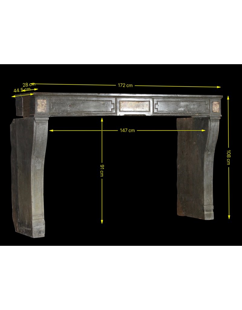 Élégante Cheminée Décorative Antique Française