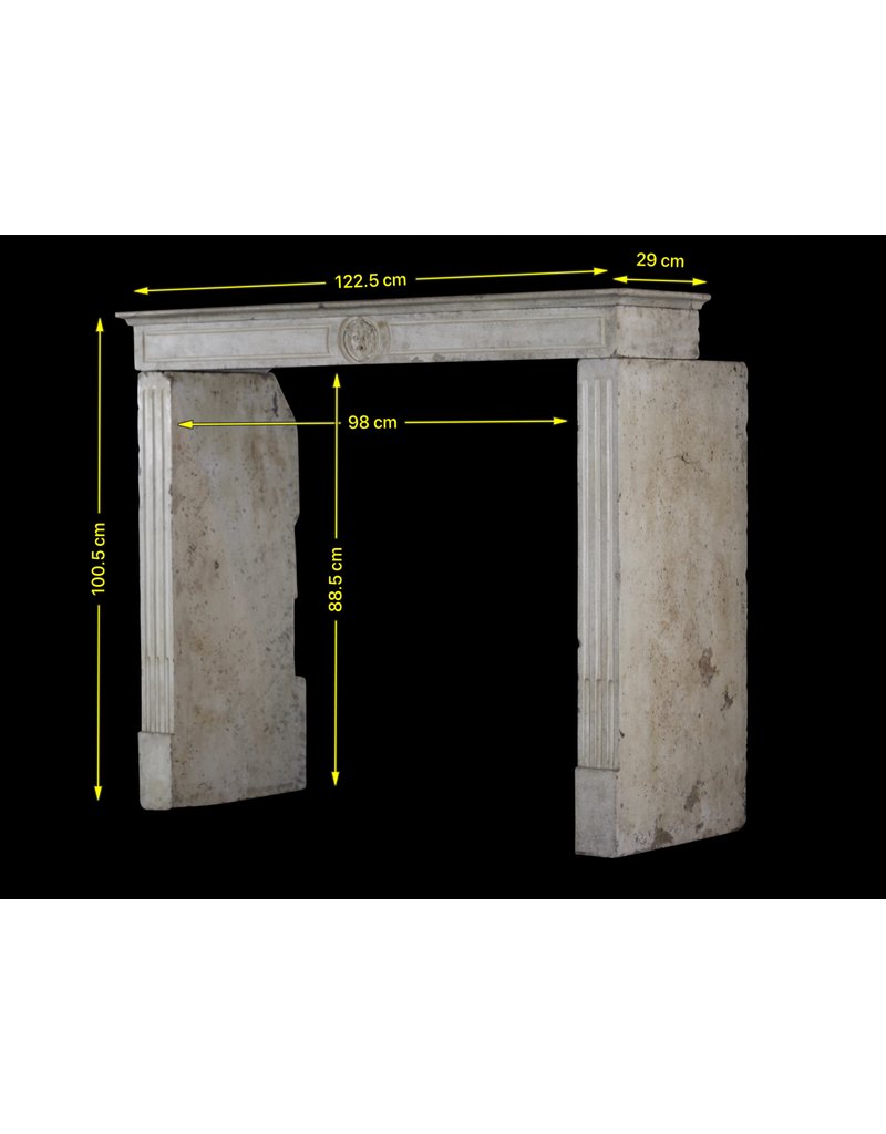 French Limestone Elegant Fireplace Mantle