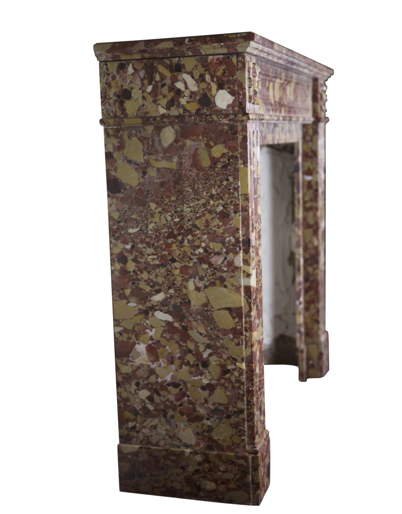 19Th Century French Vintage Fireplace In Brêche Marble